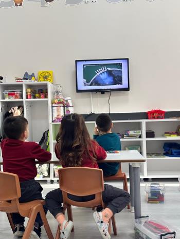 Yenilenebilir Enerji, Tasarruf ve Gözlem Bir Arada